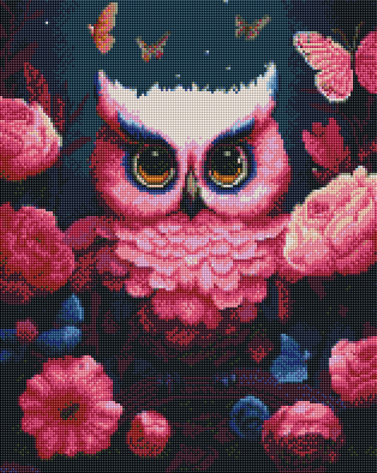 ZAi-2593 Owl Diamond Painting